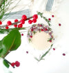 Cranberry-Cheesecake mit Cashewnüssen