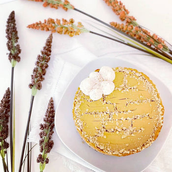 Vegan gebackener Kürbis-Cheesecake - v